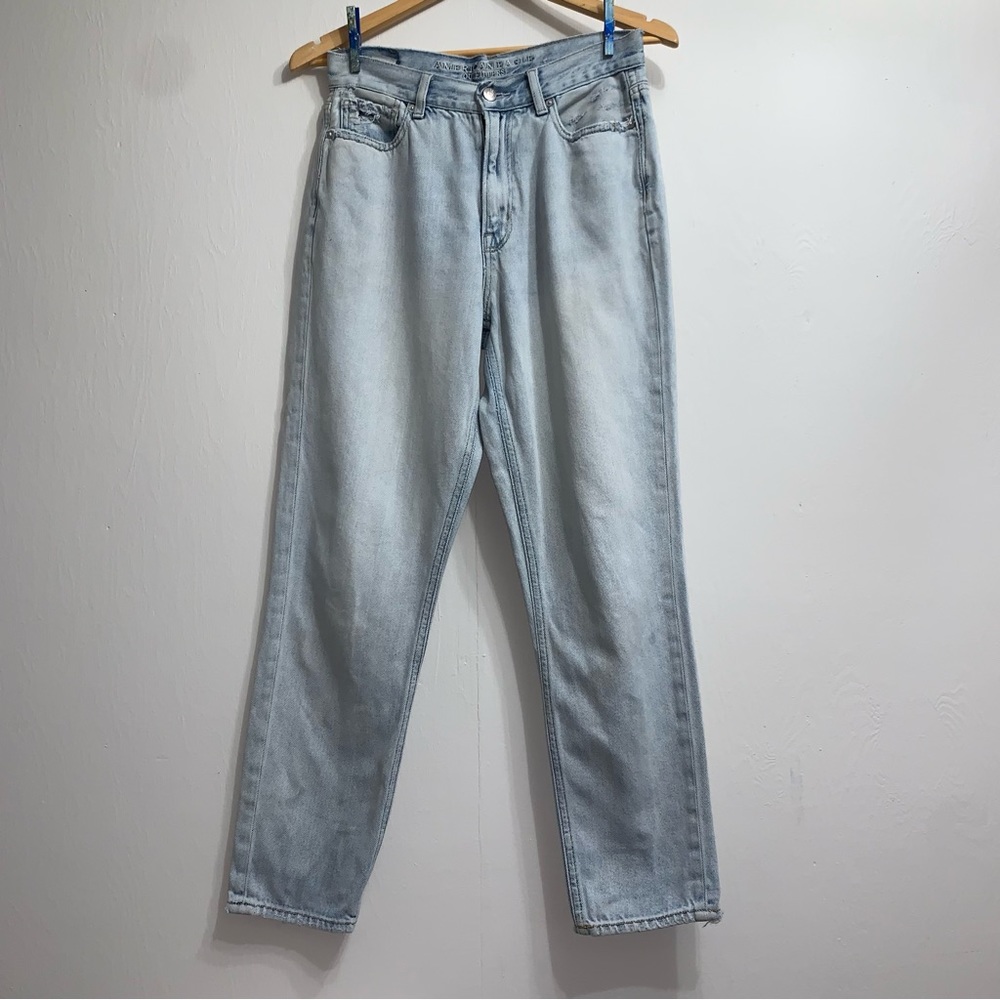 Size 6 American Eagle Outfitters Mom Jean